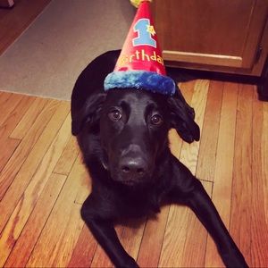 Meet your Posher, Kate